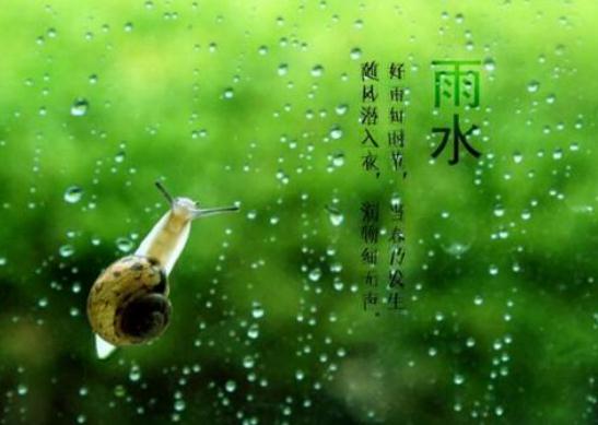 24节气之雨水谚语_关于雨水节气天气谚语