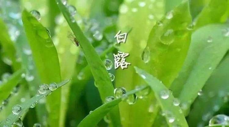2019白露节气民俗，太湖祭禹王