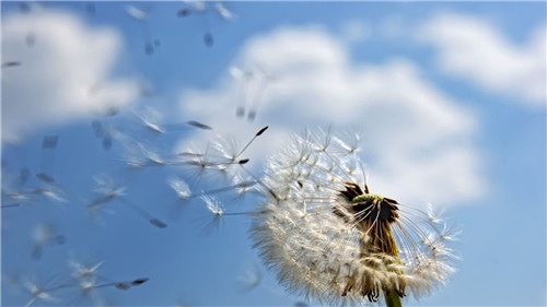 1592297898270046.jpg 决胜2020脱贫攻坚展征文心得感悟作文5篇