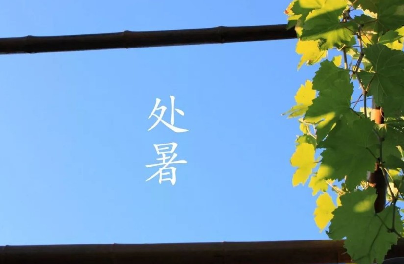 1596783298589038.jpg 1596783298589038.jpg