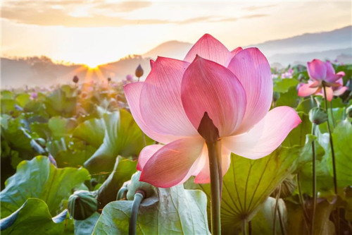 1597045328430609.jpg 7e1d0f07313a488dbb30d0b5be0e5703.jpg