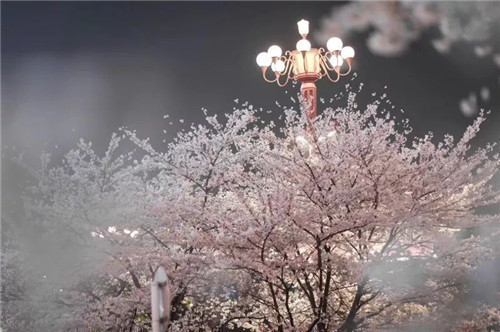 1597142999537293.jpg a4f162ab06474ba28c4a600be93fca2b.jpg