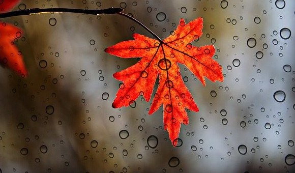 1597216776195781.jpg 1597216776195781.jpg