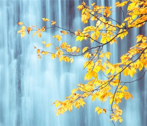 1597392167164815.jpg 1597392167164815.jpg