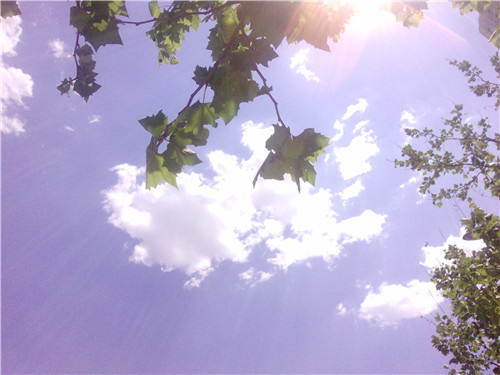 1597817389795609.jpg W020120719295851341797.jpg