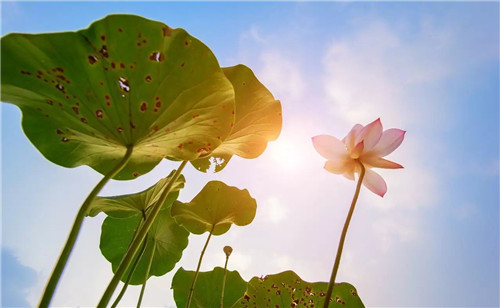 1597994596848842.jpg 下载.jpg