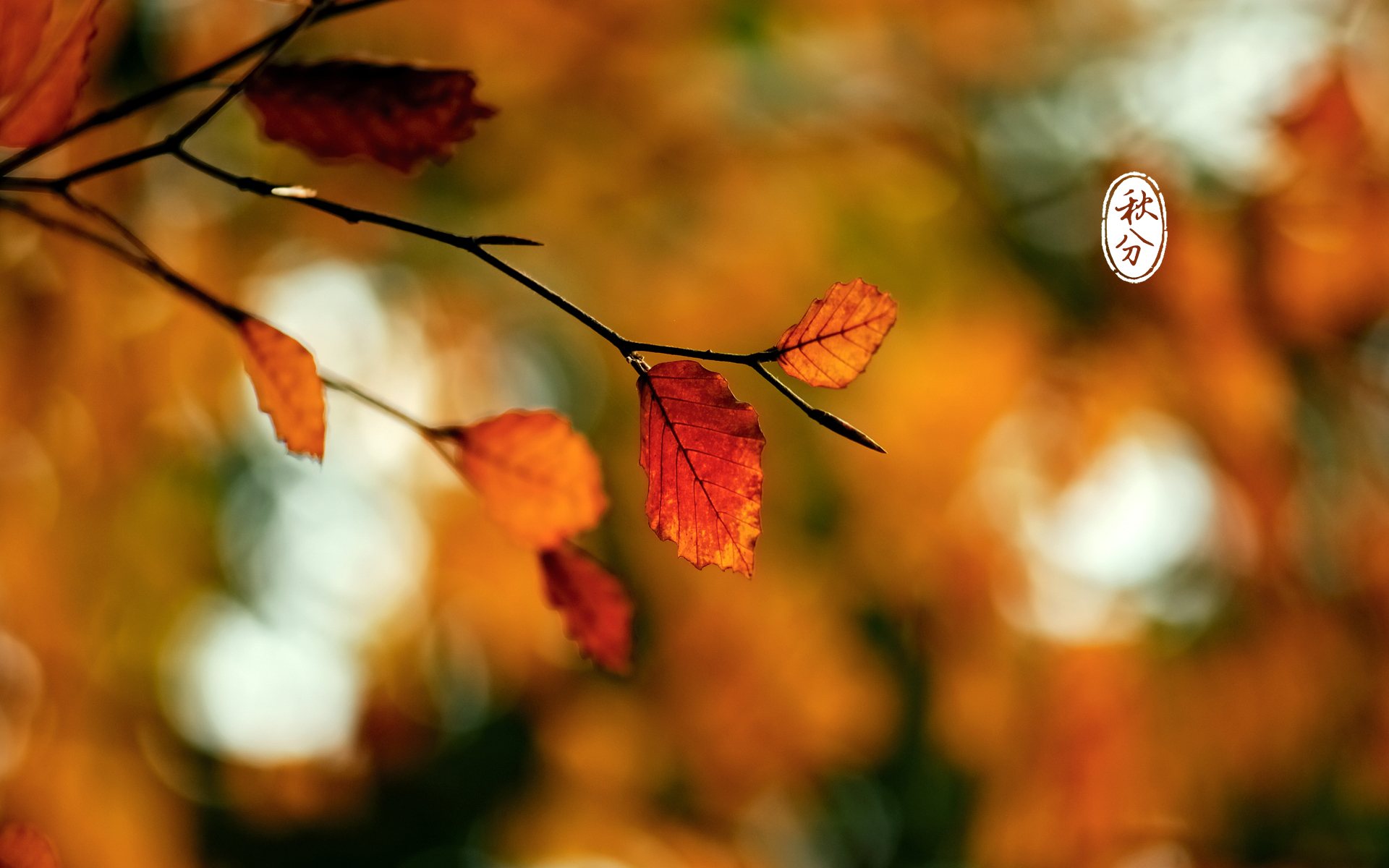 1598250143697576.jpg 1598250143697576.jpg