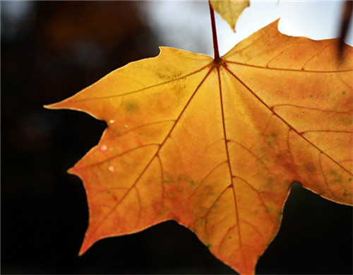 1598251921216910.jpg {7DF187F9-C517-4936-B9F1-ED70B20304AF}_20200805141940.jpg