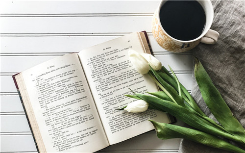 学生暑期社会实践心得体会以及感受作文【5篇】