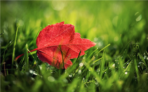 1598611091441318.jpg 38.jpg