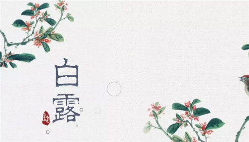 1599211133175200.jpg 172.jpg