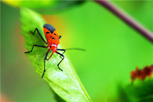 1599211971331297.jpg 06.jpg