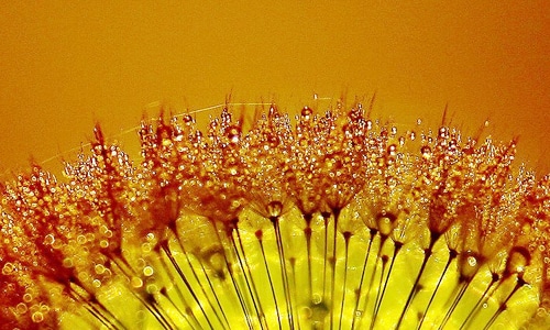 食品安全横幅标语口号精选80句 食品安全横幅标语口号精选80句