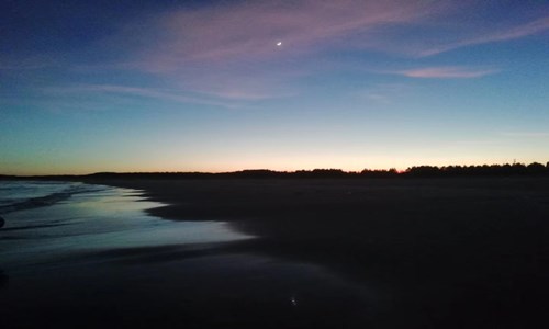 小学生道路交通安全口诀 小学生道路交通安全口诀