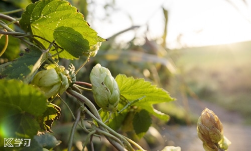 世界残疾日宣传活动口号 世界残疾日宣传活动口号