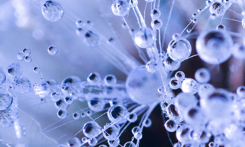 国庆节五年级作文五百字