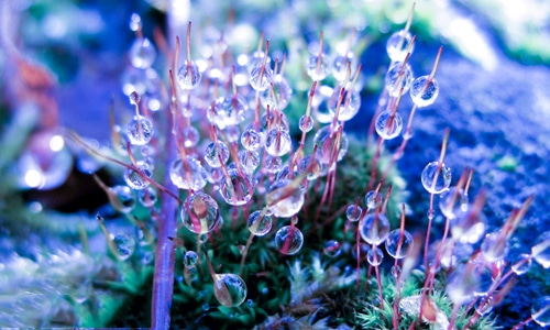 2022双十一活动主题口号(140句) 2022双十一活动主题口号(140句)