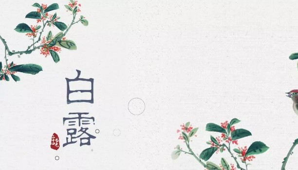 二十四节气白露介绍大全